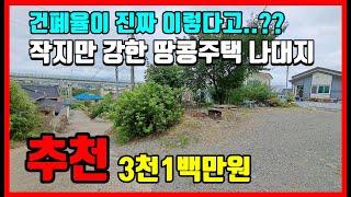 (강추) 3,100만원 포항 흥해 조립식주택 모듈러주택 놓을 토지매매 촌땅매매 시골땅매매 경북땅 경북토지매매 포항땅매매 전원주택지 성곡리 부동산 매물 - 착한부동산tv