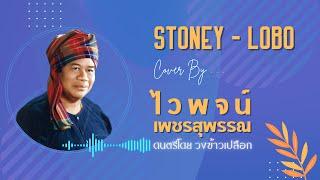 STONEY | สโตนีย์ - ไวพจน์ เพชรสุพรรณ Cover (ต้นฉบับ LOBO By วงข้าวเปลือก)