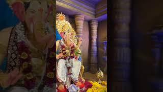 Aniket mistry home Ganpati 2023 #lalbagcharajha #homeganpatidecoration #vadodaraganpati #morya