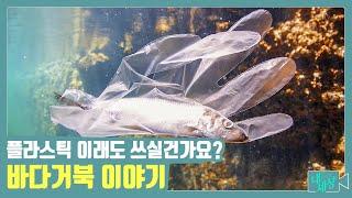 해양오염의 주범 플라스틱, 이래도 쓰실건가요? 바다거북 이야기  | 내가 그리는 세상 | 02월 15일