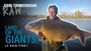 John Timmermans RAW | Public Lake Carp Fishing | October & The Land Of The Giants