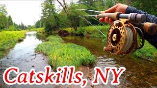 The Hunt For A Record BROOK TROUT | Catskill Mtns, NY