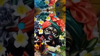 #radheradhe #radhekrishna #vrindavan #bhaktisong#shorts #yts