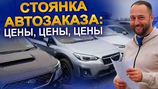 Авто из Японии: цены поражают! | LEVORG | RAIZE | NOTE | JIMNY | CLA | ОБЗОР | 2024