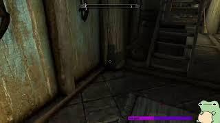 bringing the stupid to skyrim