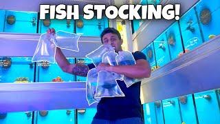 STOCKING My AQUARIUM With TROPICAL FISH!! * Octopus Update*