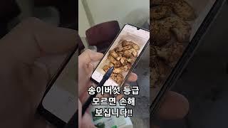 1등이라고 판매하는 곳이....있네요. #송이맛집