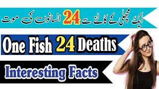 One Fish, 24 Deaths | 3 Interesting Facts || Ajab Naak 87