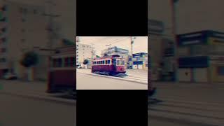 마치 70年代로 돌아간 것 같읍니다･･････#shorts