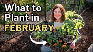 FEBRUARY PLANTING GUIDE: Top Veggies, Herbs & Flowers For Mild Winter Gardens