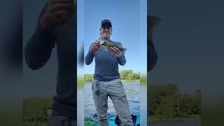 cage rage outdoors largemouth bass fishing