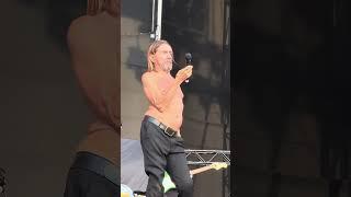 Iggy Pop Thrills Fans as Support for Tour with Red Hot Chili Peppers! Amazing! 2023 #IggyPop