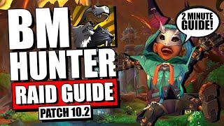 10.2 Beast Mastery Hunter Raid Guide