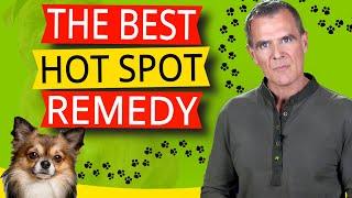 How To Treat Hot Spots On Dogs With A Home Remedy (Amazing Natural Antibiotic)