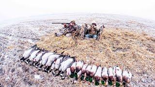 FROSTY ALBERTA WHEAT FIELD DUCK HUNT!