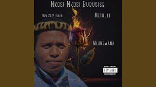 Methuli Mlungwana: Namhla Mina