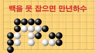 바둑 묘수 사활 - 백을 못 잡으면 만년하수에서 벗어 날 수 없습니다