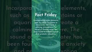 Fact Friday! | Home Decor & Gifting | Did you Know? #didyouknow #factfriday