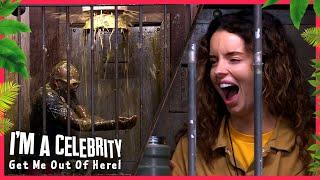 Team Junkyard Face First Challenge | I'm A Celebrity... Get Me Out of Here! 2024