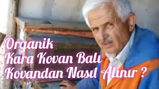 Kovandan bal nasıl alınır ?