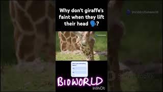 why don't giraaffes faint #animals #animalphysiology #csirnet #viral #csirlifescience #madeeasy