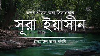 Heart Soothing Recitation of Sura Yaseen ┇ Recited by Ismail An Nouri ┇ An Nafee ┇ আন নাফী