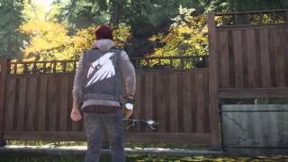 Infamous 2nd Son : Through the wall glitch