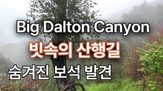 [Big Dalton Canyon] ,빅달텐 캐년,Hiking/Trail,하이킹,캠핑,엘에이 근교,글렌도라 지역,트레일