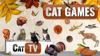 Cat Games | Harvest Time Fun  Thanksgiving Turkeys and Autumn Adventures!  | Video for Cats