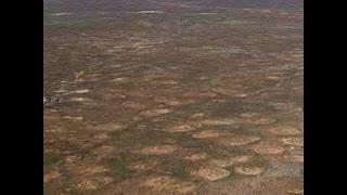 Mysterious fairy circles in Namib desert explained at last