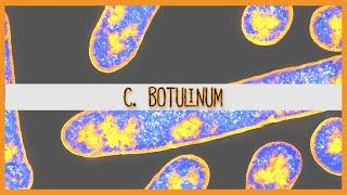 Clostridium Botulinum