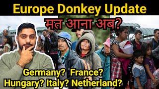 Europe donkey new update - italy donkey from India - serbia donkey to italy portugal donkey Cyprus