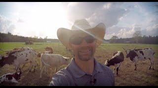 Should The Autoimmune Patient Eat Beef? (A Ranching Doctor's Perspective)