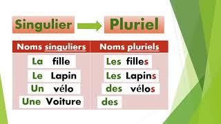 Le singulier et le pluriel des noms