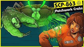 SCP-863 | Patchwork Crabs (SCP Orientation)