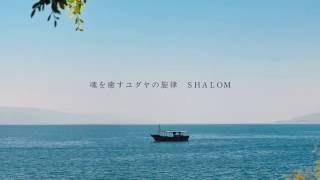 魂を癒すユダヤの旋律　ＳＨＡＬＯＭ