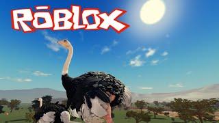 AVESTRUZ no SAVANNAH LIFE da ROBLOX