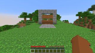 Minecraft 3x3 PISTON Hipster Door