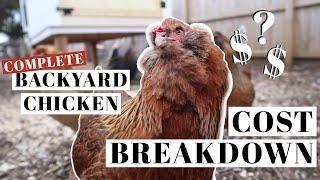 HOW MUCH DO BACKYARD CHICKENS COST? | Suburban Poultry Price Breakdown | Homestead Laying Hens Care