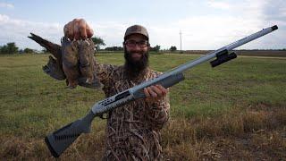 Opening Day Dove Hunt 2020! (Limited Plus Bonus Bird)