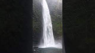 Nung Nung waterfall Bali(Absolutely breathtaking)huge️#paradise #stunning
