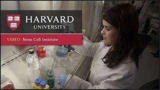 Changing the Foundations of Science: Harvard Stem Cell Institute | One Harvard