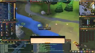 HeSkills - Runescape Skiller Progres Video 1