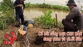 Liệu bạn có thể bắt sống CON RẮN chìm dưới nước thành công? | TGSB #1012