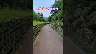 #엽전열닷냥 #김용빈 #미스터트롯3우승진 #이보규tv #shorts