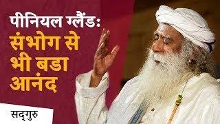 पीनियल ग्लैंड  संभोग से भी बड़ा आनंद - Shemaroo Spiritual Gyan - Sadhguru Hindi