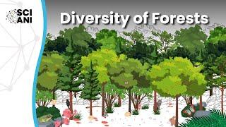 Dr. Forest: Diversity of Forests Influences Human Wellbeing