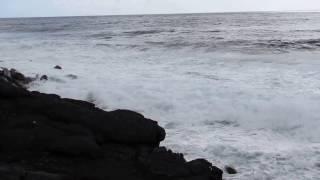 Kaimu Black Sand Beach; Big Island, Hawaii