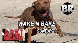 APBT MAGAZINE BULLDOG SUNDAY WAKE N BAKE 006 || CUTTING OFF BAD ENERGY