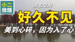 【小二微醺】徐志摩，《好久不见》，美到心碎，因为入了心